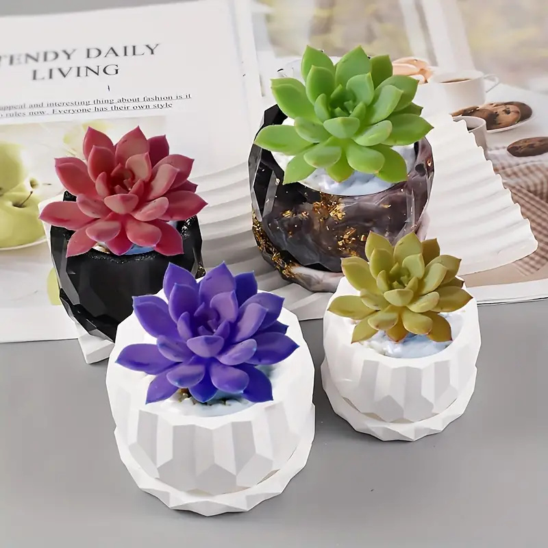 1 ensemble de moules de jardin - Potsticker Mold avis et prix